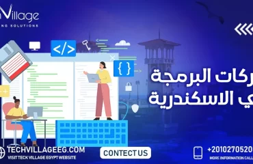 شركة البرمجة فى الاسكندرية